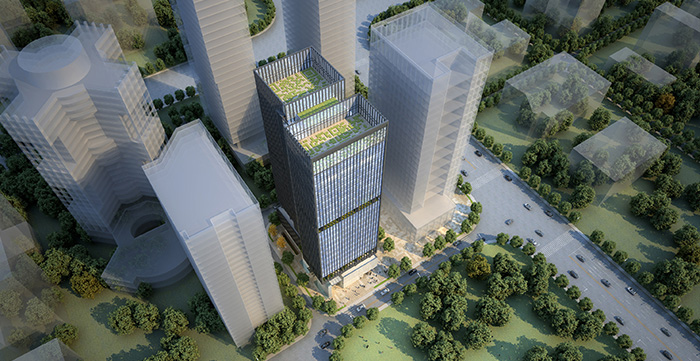 案例展示 案例展示